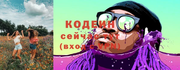 прущий лед Лагань
