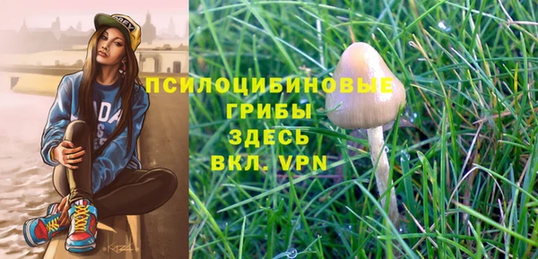 гидропоника Кулебаки