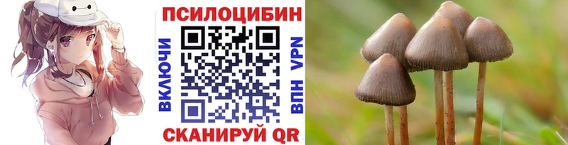 Псилоцибиновые грибы ЛСД  blacksprut зеркало  Мамадыш  где купить  